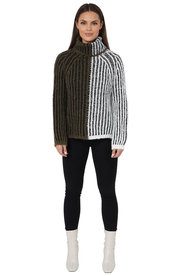 Aubrie Turtleneck Sweater-1